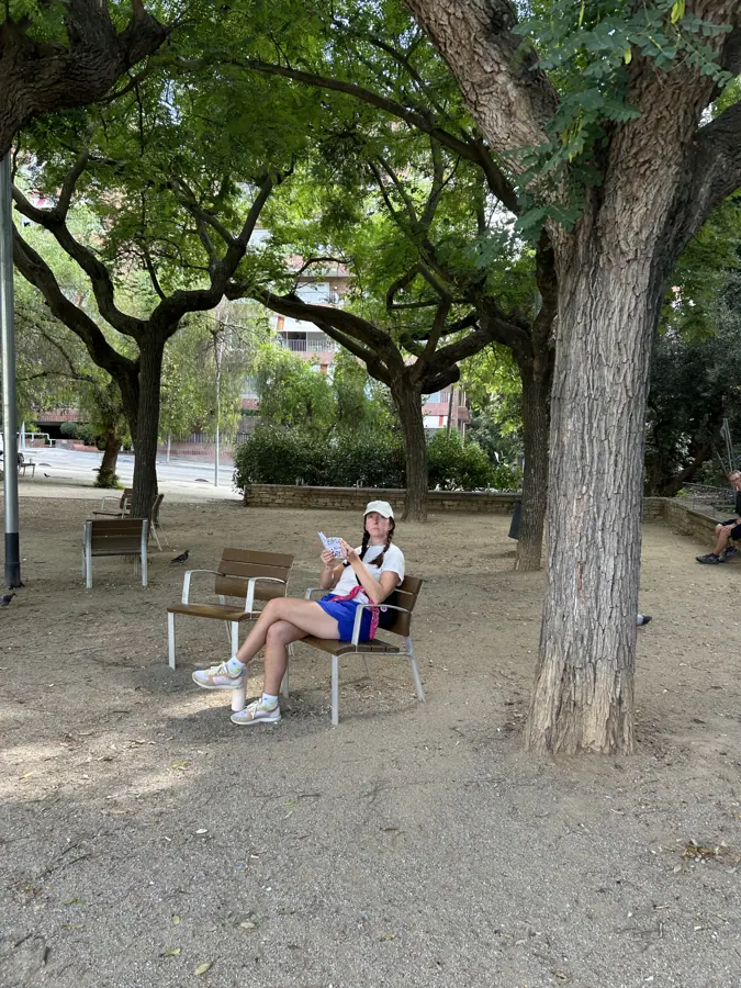 a participant reading alone on a bench under plane trees